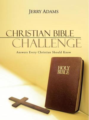 Book cover of Christian Bible Challenge