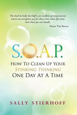 Cover of the book S.O.A.P. How to Clean up Your Stinking Thinking One Day at a Time by Daniel, Miriam Pope