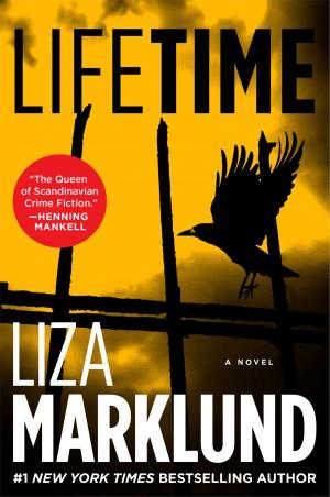 Cover of the book Lifetime by Jodi Picoult