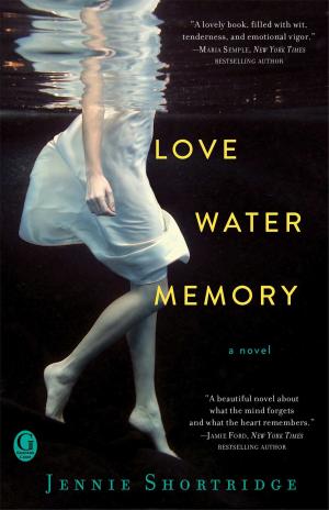 Book cover of Love Water Memory