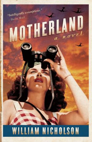 Cover of the book Motherland by Jan-Philipp Sendker