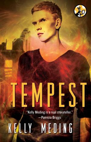Cover of the book Tempest by S.E. Casey