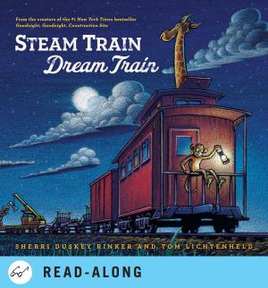 Cover of the book Steam Train, Dream Train by Colman Andrews