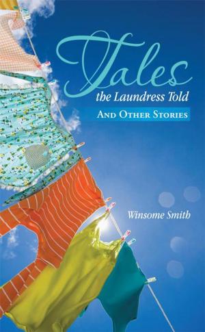 Cover of the book Tales the Laundress Told by Christina Lane