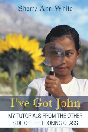 Cover of the book I've Got John by J.V. Merrick