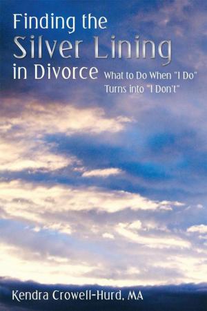 Cover of the book Finding the Silver Lining in Divorce by Chris Hutchins