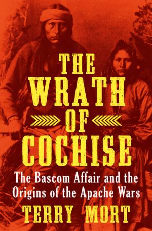 Cover of the book The Wrath of Cochise by Peter Danish