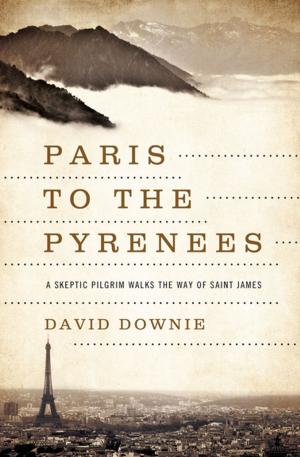 Cover of the book Paris to the Pyrenees by Matthew Parker
