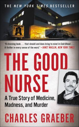 Book cover of The Good Nurse