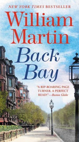 Cover of the book Back Bay by Amber Bird
