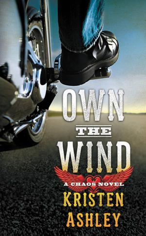 Cover of the book Own the Wind by R.K. Lilley