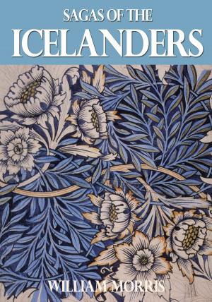 Cover of the book Sagas of the Icelanders by Ann Bernard
