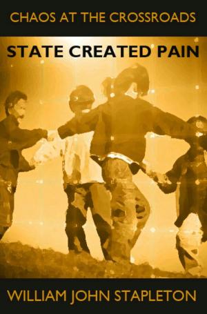 Cover of the book Chaos At the Crossroads: State Created Pain by Jitendra Patel