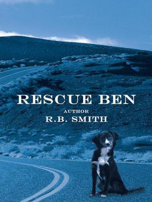 Cover of the book Rescue Ben by C. William Ochsenhirt