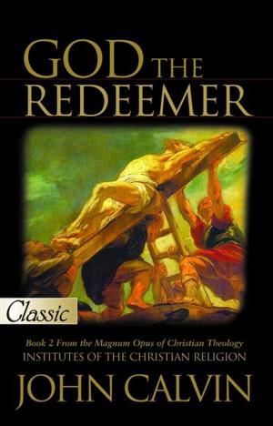 Cover of the book God the Redeemer by White Deer of Aautumn