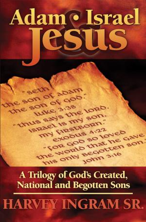 Cover of the book Adam, Israel & Jesus by Wilf H. Roch, Jeannie Lockerbie Stephenson