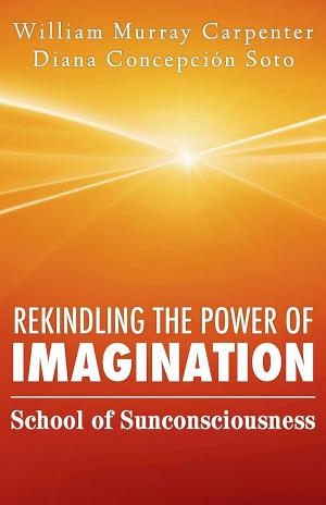 Book cover of Rekindling the Power of Imagination