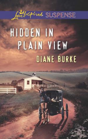 Cover of the book Hidden in Plain View by Anne Mather