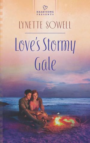 Book cover of Love's Stormy Gale
