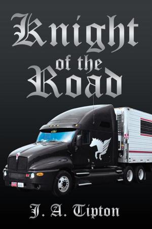 bigCover of the book Knight of the Road by 