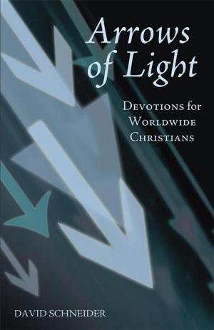 Cover of the book Arrows of Light by Sister Louise Sweigart cgs
