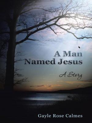 Cover of the book A Man Named Jesus by Jon J. Cardwell, John Bunyan