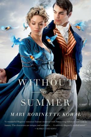 Cover of the book Without a Summer by Dom Testa