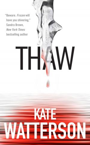Cover of the book Thaw by Cherie Priest