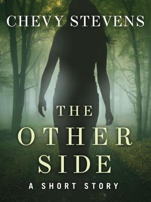 Cover of the book The Other Side by Brad Lamm