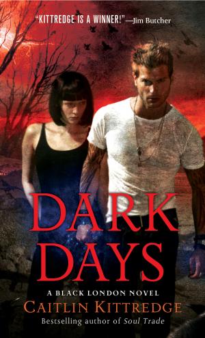 Cover of the book Dark Days by Jennifer Hatt
