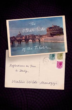 Cover of the book The Other Side of the Tiber by Petina Gappah