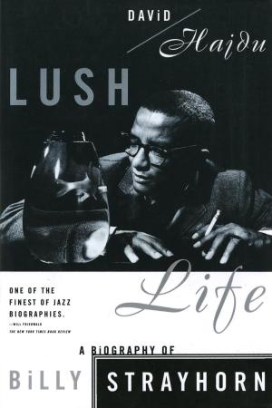 Book cover of Lush Life