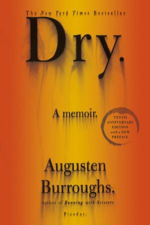 Cover of the book Dry by Paul Auster