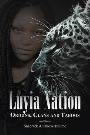 Cover of the book Luyia Nation by Laura Gottesdiener