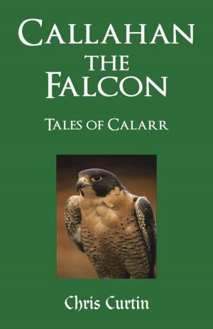Cover of the book Callahan the Falcon by Bjarden Holter