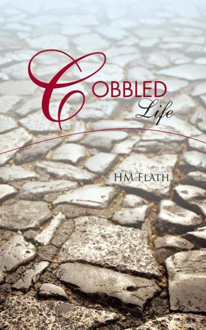 Cover of the book Cobbled Life by Darryl C Johnson