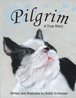 Cover of the book Pilgrim by Rev. Benny Johnson, Floyd Smith