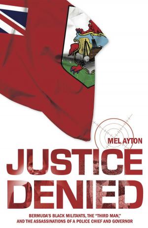 Cover of the book Justice Denied by Ron Chepesiuk