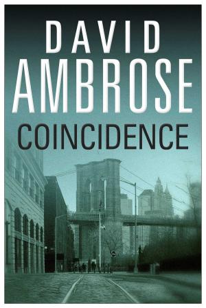 Cover of the book Coincidence by Anna Kemp