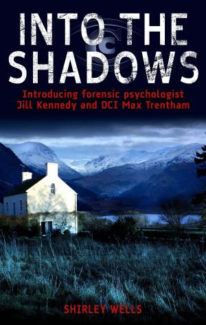 Cover of the book Into the Shadows by E. V. Thompson