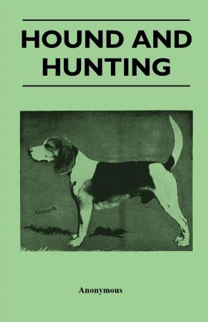 Cover of the book Hound and Hunting by J. M. Synge