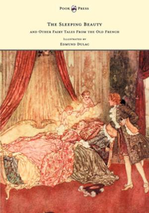 Book cover of The Sleeping Beauty and Other Fairy Tales from the Old French - Illustrated by Edmund Dulac