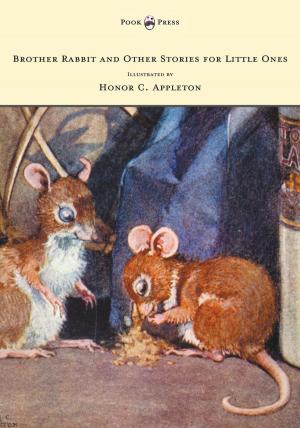 Cover of the book Brother Rabbit and Other Stories for Little Ones - Illustrated by Honor C. Appleton by F. Scott Fitzgerald