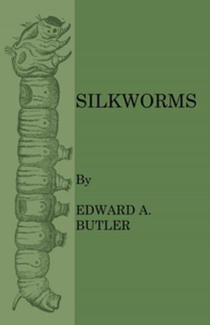 Cover of the book Silkworms by Kenneth A. Hallett