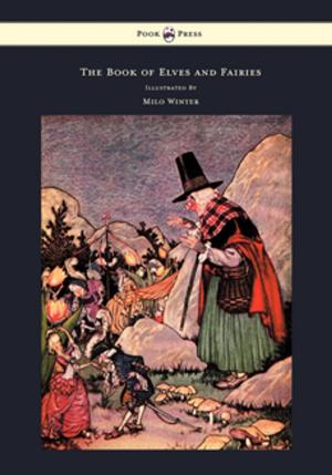 bigCover of the book The Book of Elves and Fairies - For Story Telling and Reading Aloud and for the Children's Own Reading - Illustrated by Milo Winter by 