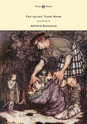 Book cover of The Allies' Fairy Book - Illustrated by Arthur Rackham