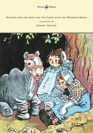 Book cover of Raggedy Ann and Andy and the Camel with the Wrinkled Knees - Illustrated by Johnny Gruelle