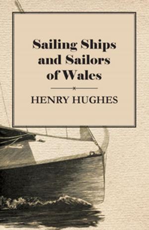 Book cover of Sailing Ships and Sailors of Wales