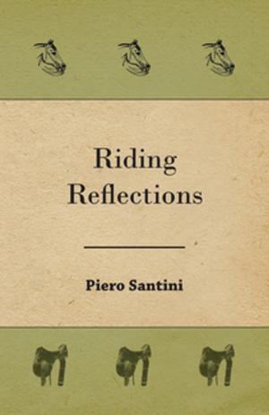 Cover of the book Riding Reflections by Benjamin Read