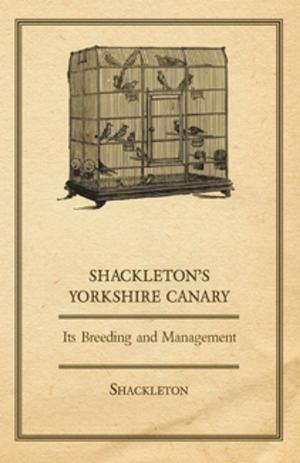 Cover of the book Shackleton's Yorkshire Canary - Its Breeding and Management by Franz Liszt